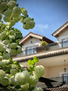 Poggio delle Molare Adults-Only Retreat - 3