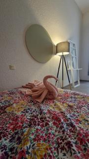 Appartement de charme T3 climatisé - 7