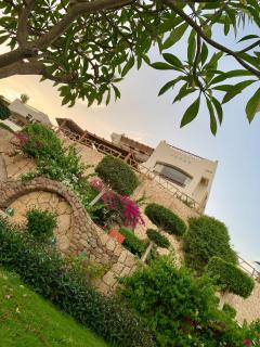Seafront apartment - sharks bay - 4