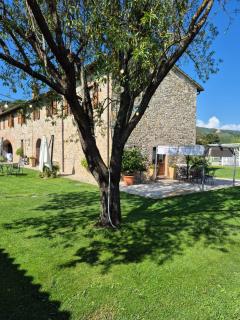 Agriturismo Case Corboli appartamento Visietto - Todi - 0