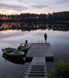 Villa Norppa - Punkaharju - 5