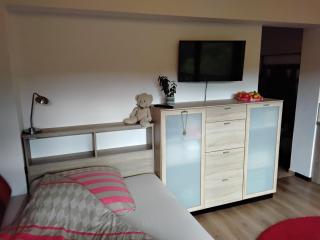 Einzelzimmer Miniloft - Bad Schandau - 5