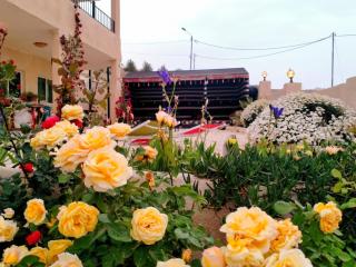 B&B petracountryhouse - Wadi Musa - 0