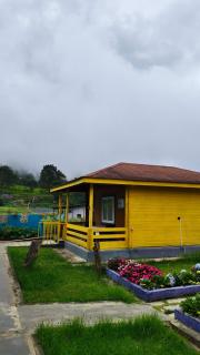 The Laughing Woods AC Resort - 8