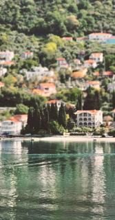 Apartmani Krivokapic - 7