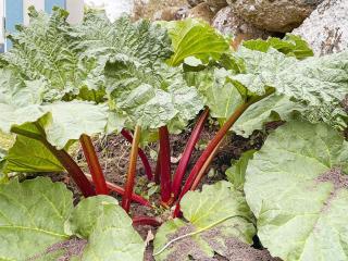 8 person holiday home in Tvååker-By Traum - Himle - 3