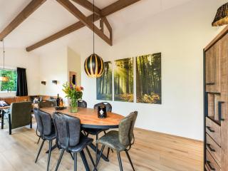 Holiday Home in Hellendoorn near Pieterpad - 1