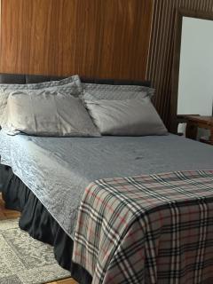 Ape next to the Consulate - 1