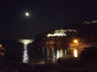 Villetta Relax Pugnochiuso - 1