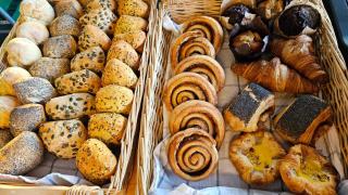 Bygholm Camping og aktiviteter - 8