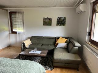 Apartma Grahor - 9