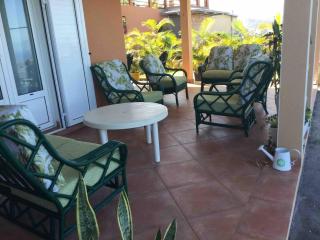 Grand appartement 2 chambres aux Avirons - Terrasse & Parking - FR-1-786-62 - 1