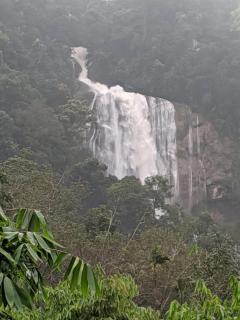 Jungle View Homestay Anakulam - 3