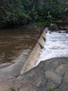 Jungle View Homestay Anakulam - 1