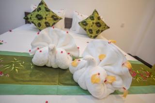 The Cozy Nest - Sigiriya - Sigiriya - 8