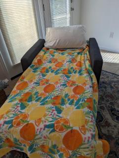 Zesty Studio & Pet Friendly Yard - 1