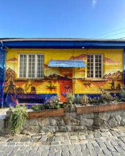 BbCasita Yellow - 7