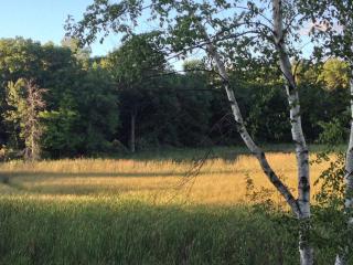 Your Own Nature Preserve - - 5