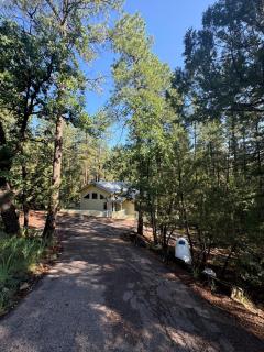 Cozy Pine Cabin - 9