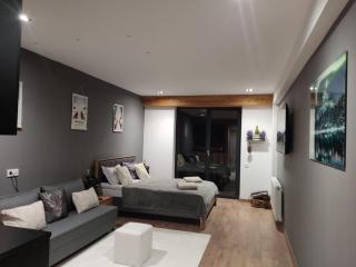 Evdo Apartments F4 modern room - 0