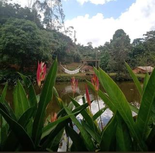 Sítio dona chica - 3