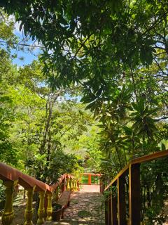 Casa de Campo La Trigue - Comayagua - 1