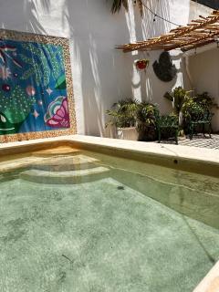 Casa colonial con piscina en el centro de Merida - Mérida - 0