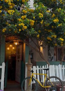Tecoma Hostel - 7