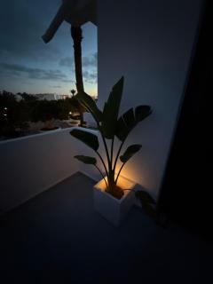 Los Molinos Serenity apartment - 0