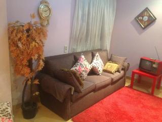 Furnished, Fully AC, Flat in Best Classy, Central Location, , Cairo, Egypt - 9