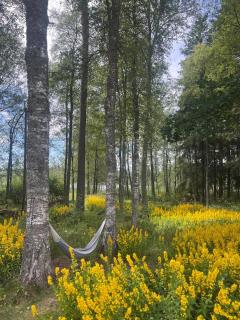 Stuga lilla Vilången - 7