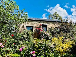 Fig Tree Cottage - Roxburgh - 0