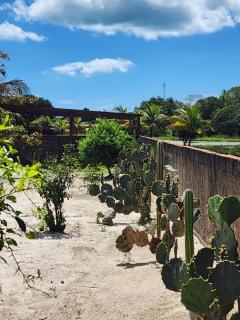 Sítio Lagoa das Libélulas - 1