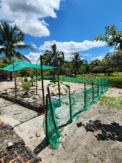 Sítio Lagoa das Libélulas - 5