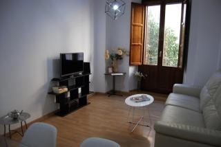 Rental in the center of Granada 1B - 6