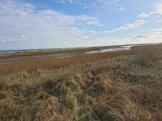 4 person holiday home in Hals-By Traum - 4