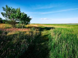 4 person holiday home in Hals-By Traum - 5