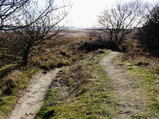 4 person holiday home in Hals-By Traum - 7