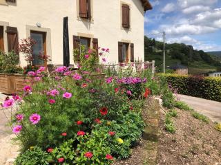 Maison rénovée près des Hautes Vosges, idéale pour activités nature - FR-1-589-696 - 0