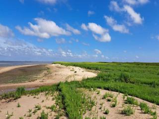 5 person holiday home in Rømø-By Traum - 1