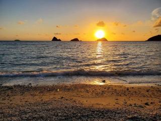 西古見の宿だるま - Setouchi - 6