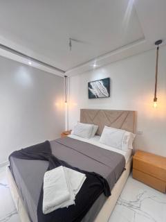 appartement coquette face à la forêt proche chu aéroport bas prix - 7