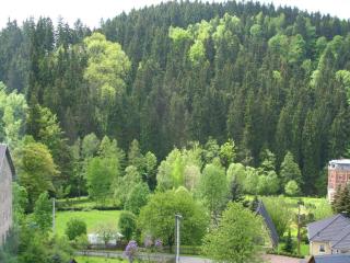Villa in Borstendorf nahe Erzgebirge - Grünhainichen - 4