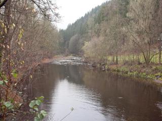 Villa in Borstendorf nahe Erzgebirge - 6