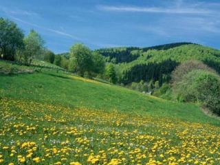 Gemütlicher Rückzugsort in Olsberg-Elpe - 2