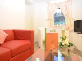 Ferienwohnung in der Nähe des Skigebietes - 3