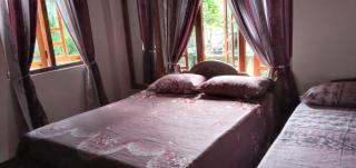 Hammad's Guest - 2