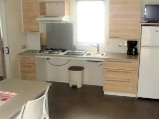 Mobil-home 6 pers avec terrasse et accès PMR - API-1-52-323 - 9