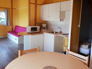 Chalet à Chaillé-les-Marais - Terrasse et salon de jardin - API-1-52-363 - 8