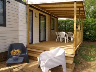 Mobil home spacieux avec terrasse à Limeuil - API-1-52-640 - 9